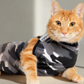 Surgical Cat Recovery Suits