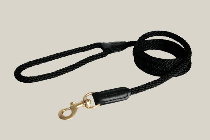 Dog leash black