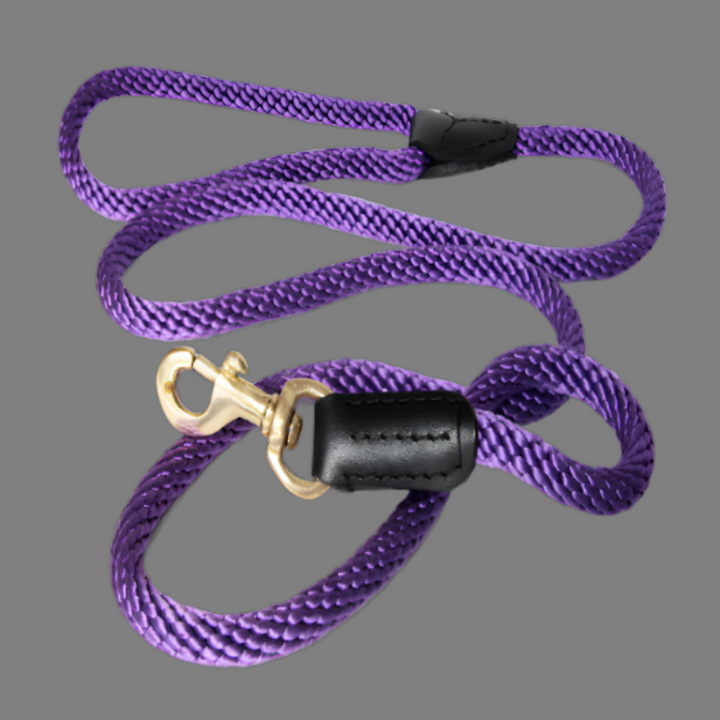 Alvalley Rope and Leather Snap Lead