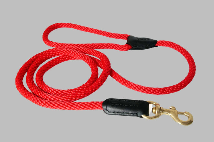 Alvalley Rope and Leather Snap Lead