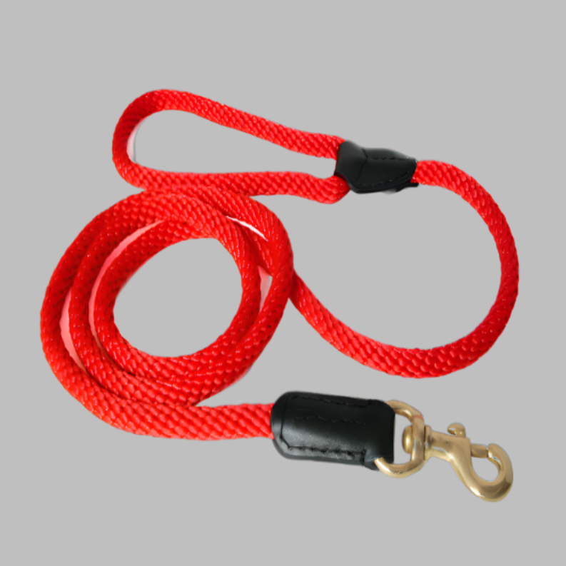 Alvalley Rope and Leather Snap Lead