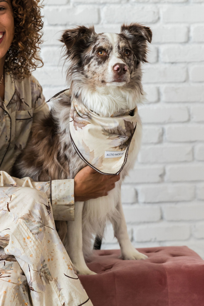 Buddy Dog Bandana