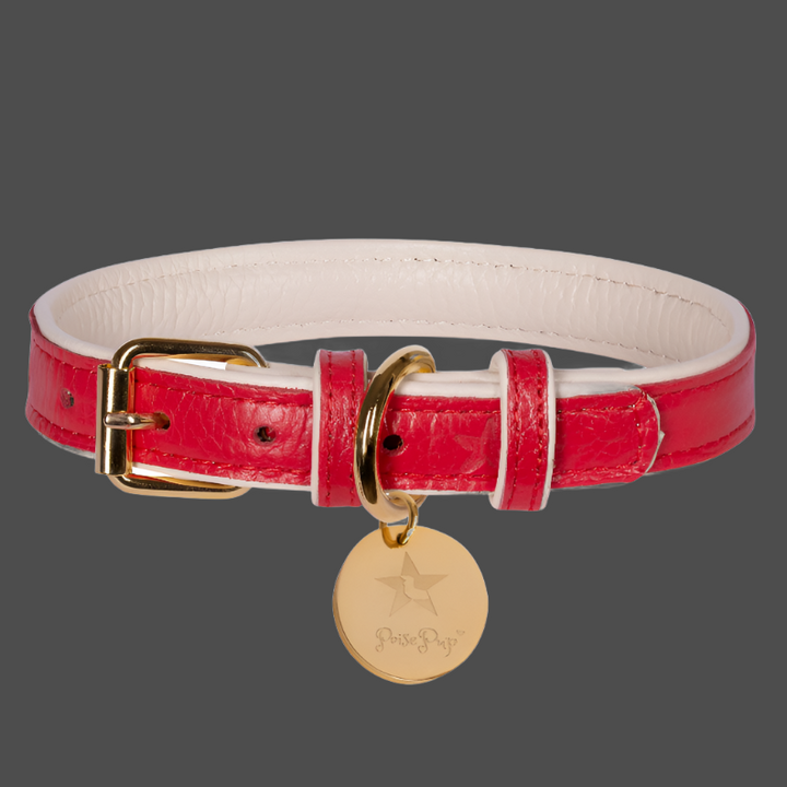 Dog Collar