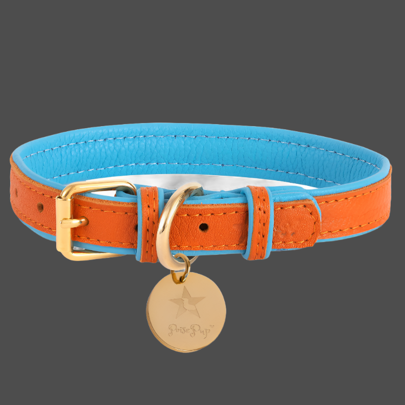 Dog Collar