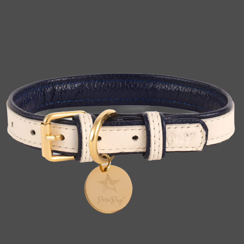 Dog Collar