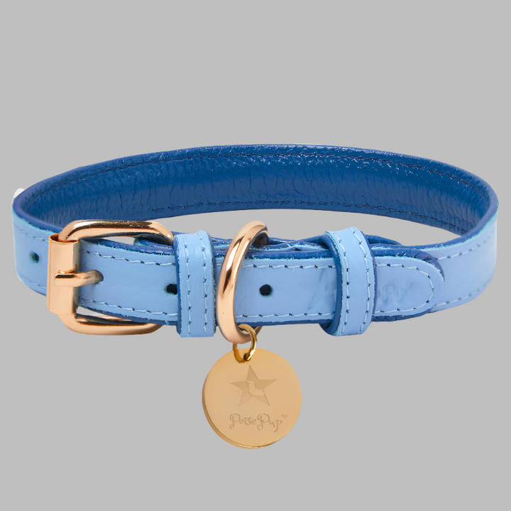 Dog Collar