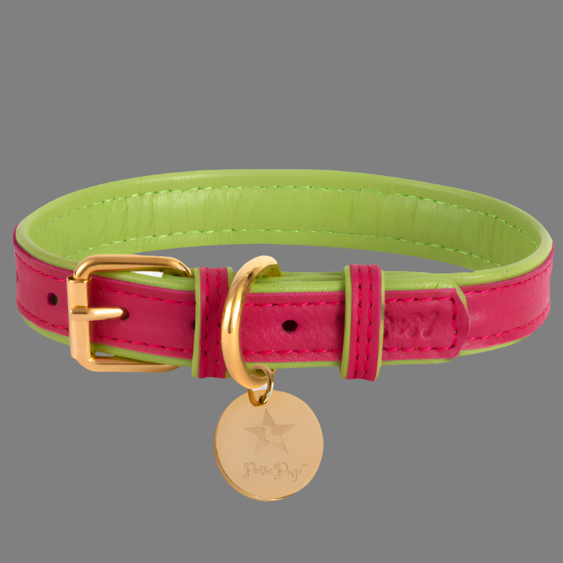 Dog Collar