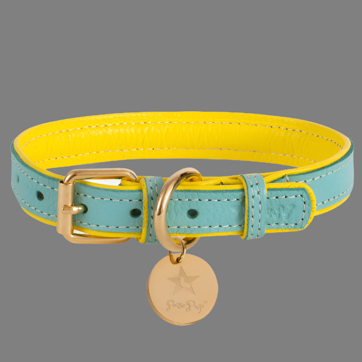 Dog Collar