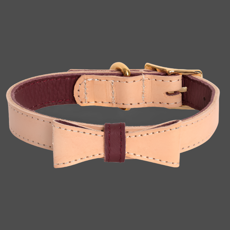 Dog Collar