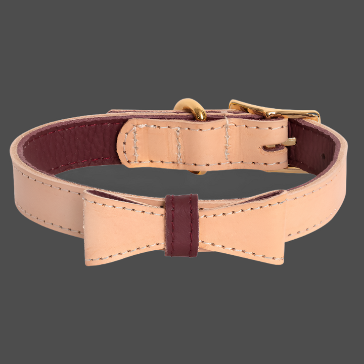 Dog Collar