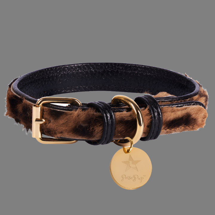 Dog Collar