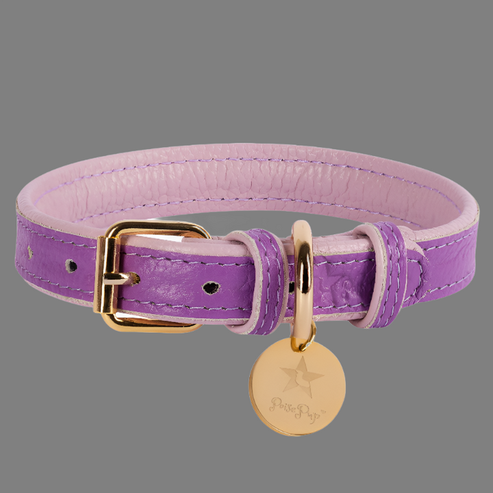 Dog Collar