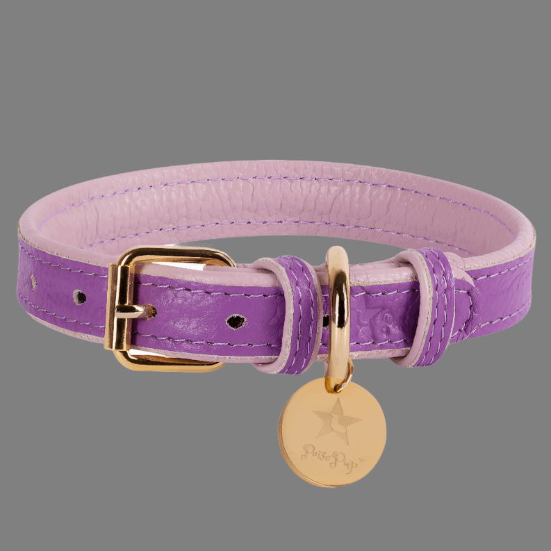 Dog Collar dog collar The Healing Pen Store Lavish lavender SMALL 1