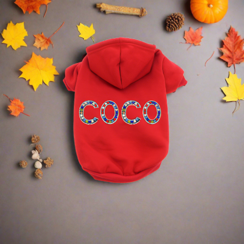 Coco Hoodie