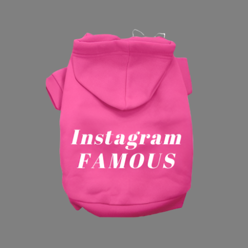 IG Famous Hoodie