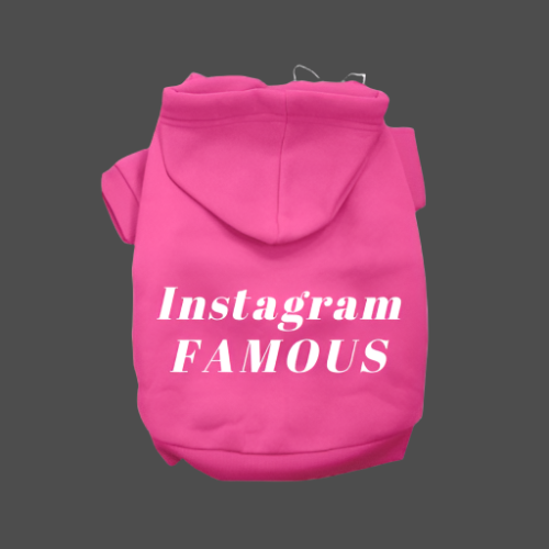 IG Famous Hoodie