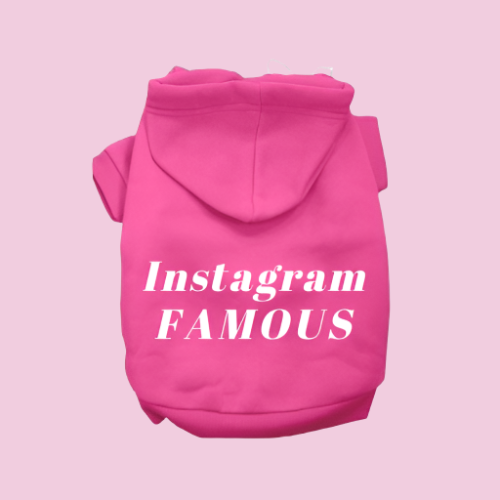 IG Famous Hoodie