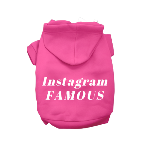 IG Famous Hoodie