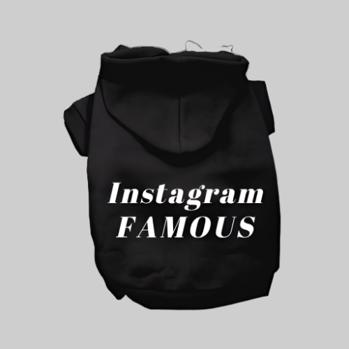 IG Famous Hoodie