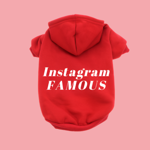 IG Famous Hoodie