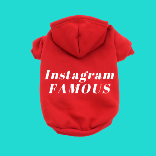 IG Famous Hoodie