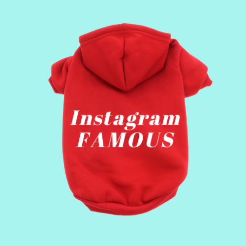 IG Famous Hoodie