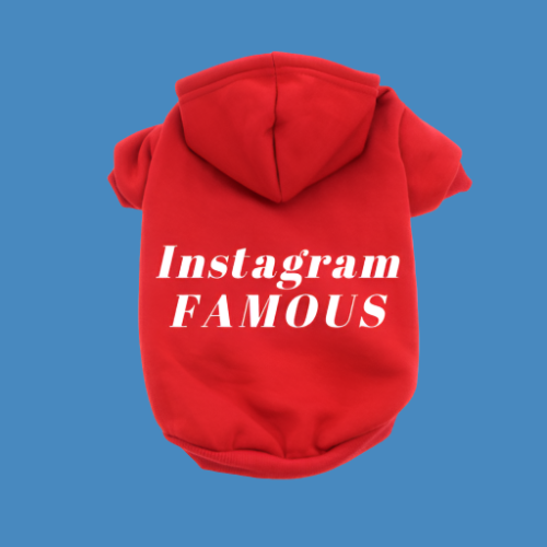 IG Famous Hoodie