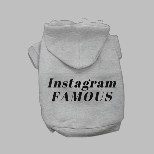 IG Famous Hoodie