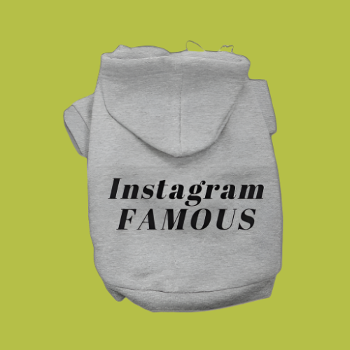 IG Famous Hoodie