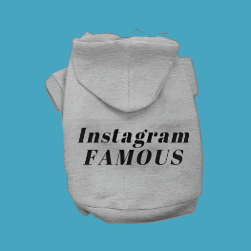 IG Famous Hoodie