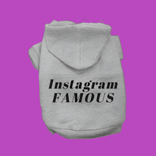 IG Famous Hoodie