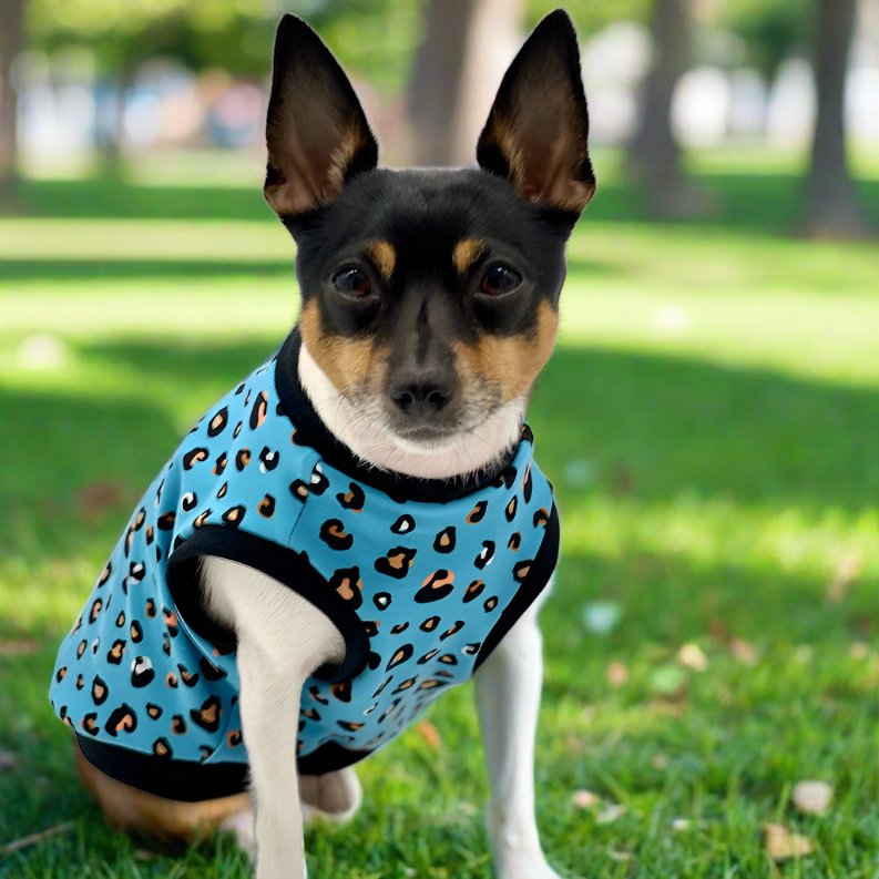 DCNY Teal Leopard Print Tank - Limited Edition