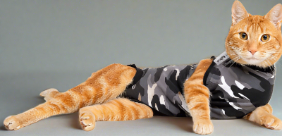 Surgical Cat Recovery Suits