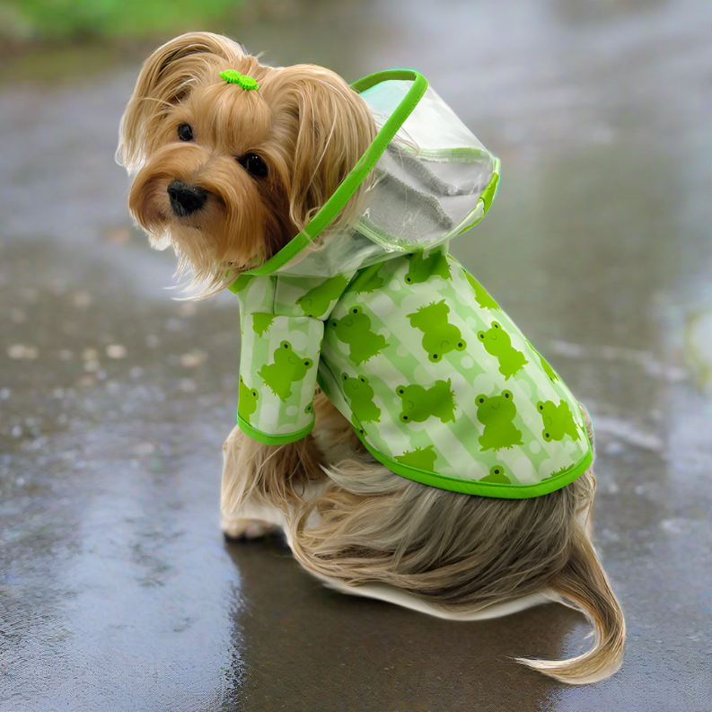 Clear View Froggy Raincoat with Fleece Lining and Detachable Hood