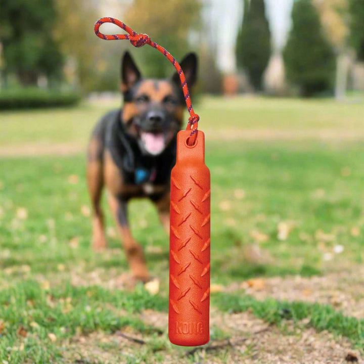 red dog tug toy