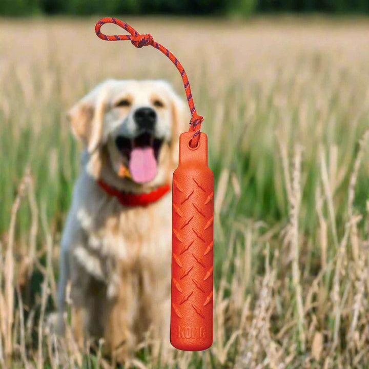 Red dog tug toy