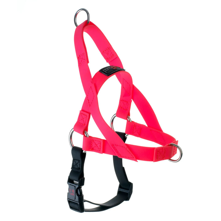 Freedom Harness