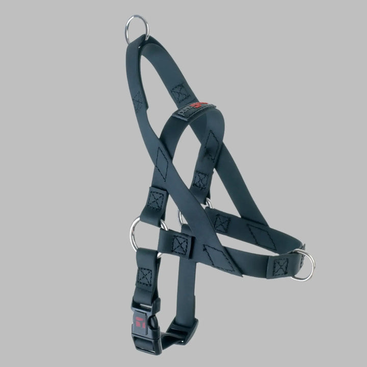 Freedom Harness