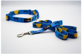 Dog Collar And Leash Set