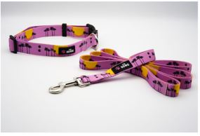 Dog Collar And Leash Set